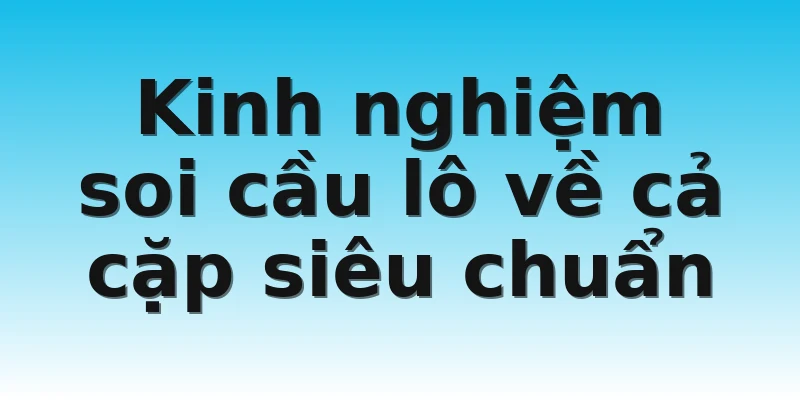 Kinh nghiệm soi cầu lô về cả cặp siêu chuẩn